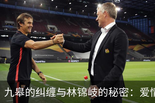 九皋的纠缠与林锦岐的秘密：爱情与追忆的奇妙交汇